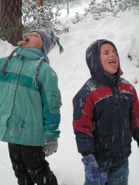 KONICA MINOLTA DIGITAL CAMERA